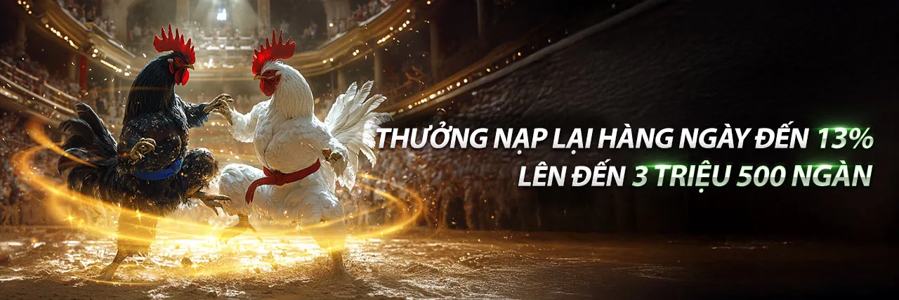 Sân vận động thể thao sôi động, cá cược 68gamebai